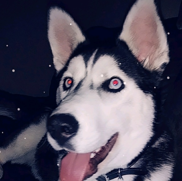 Meet your Posher, Heide - Picture 1 of 1